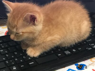 まきさんの写真