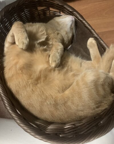 まきさんの写真