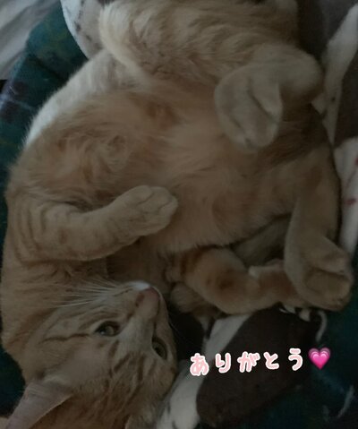 まきさんの写真